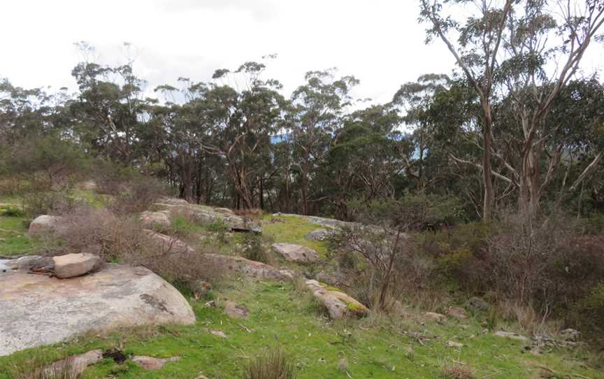 Mount Cole State Forest, Mount Cole, VIC