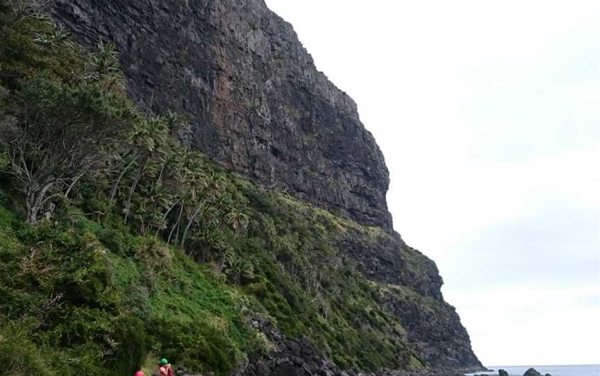 Mount Gower, Lord Howe Island, NSW
