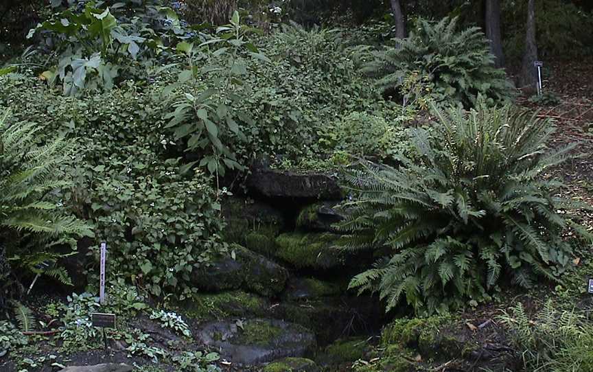 Mount Lofty Botanic Garden, Crafers, SA