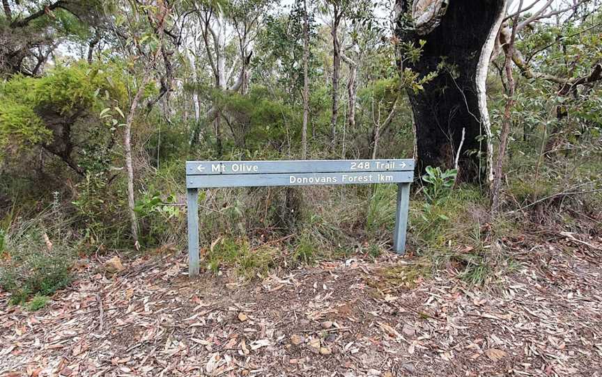 Mount Olive lookout, Glenworth Valley, NSW