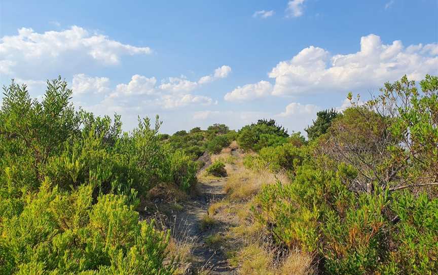 Mount Schank - Volcano Walk (State Heritage Area), Mount Schank, SA