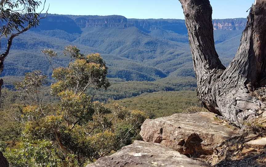 Mount Solitary walking track, Megalong Valley, NSW