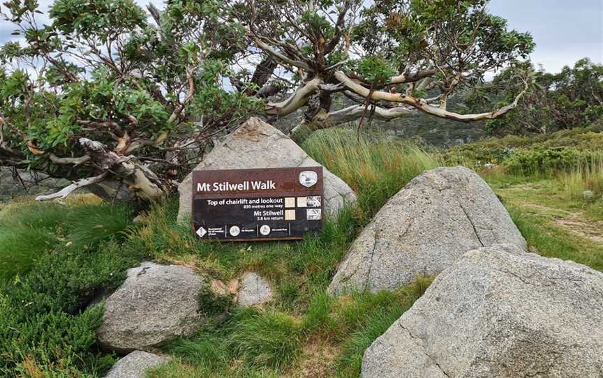 Mount Stillwell walk, Geehi, NSW
