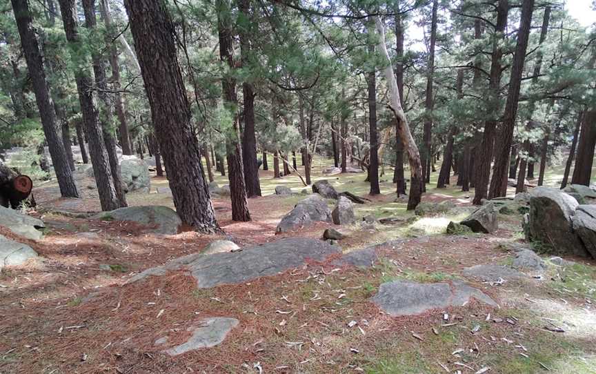 Mt Crawford Forest Reserve, Mount Crawford, SA