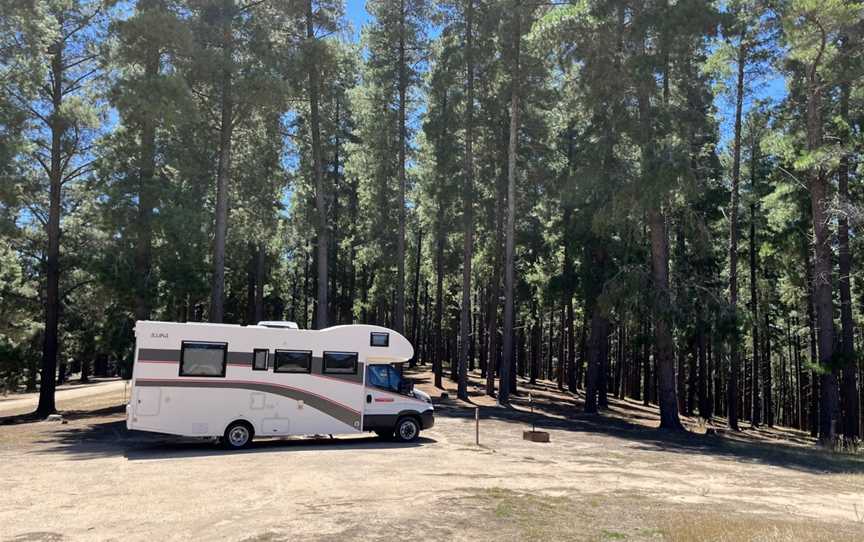 Mt Crawford Forest Reserve, Mount Crawford, SA