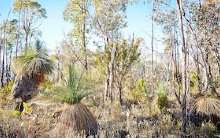 Mt Glenrowan Lookout Walk, Glenrowan, VIC