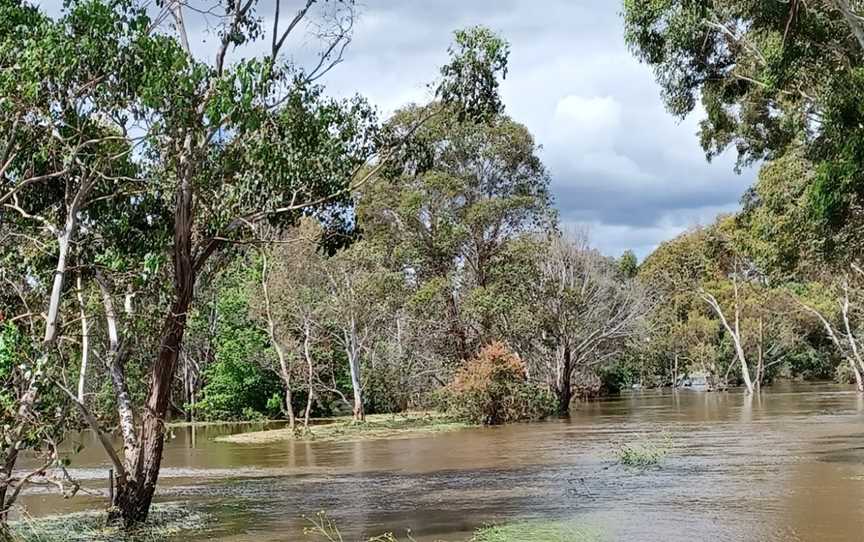 Mulwaree River Walkway, Goulburn, NSW