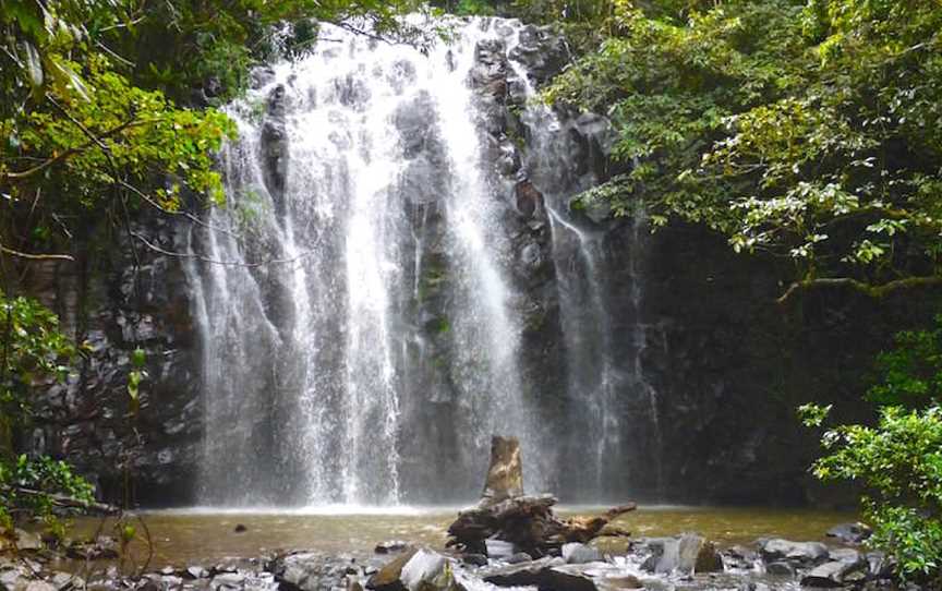 Mungalli Falls, Millaa Millaa, QLD