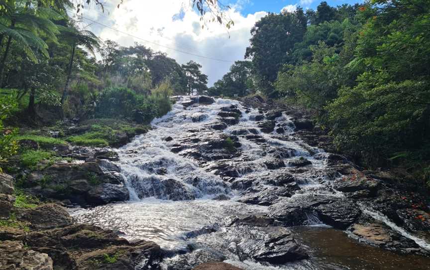 Mungalli Falls, Millaa Millaa, QLD