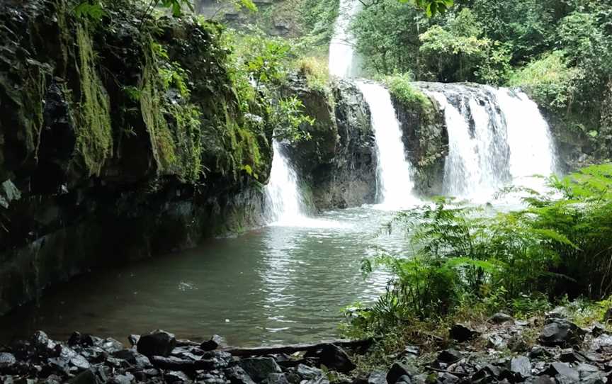 Nandroya Falls, Nature & Trails in Wooroonooran