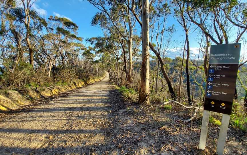 Narrow Neck Trail, Katoomba, NSW
