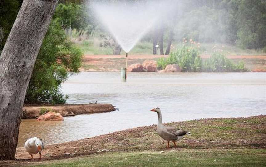 Outback Native Timber Walk, Charleville, QLD