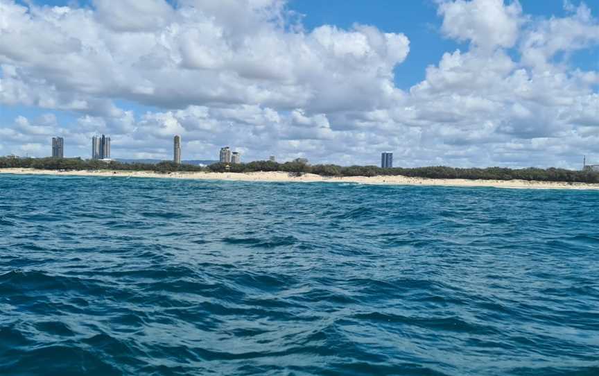 Palm Beach Reef Dive Site, Main Beach, QLD