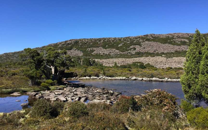 Pine Lake, Central Plateau, TAS