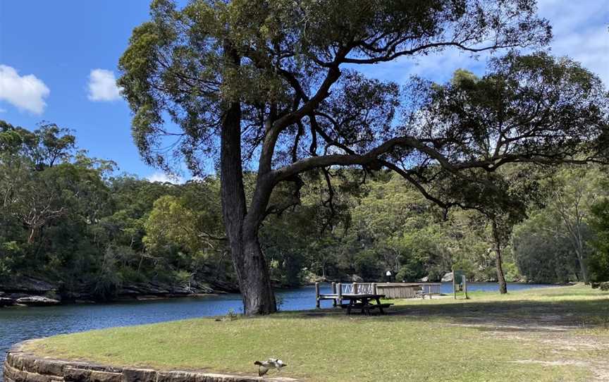 Pool Flat picnic area, Royal National Park, NSW