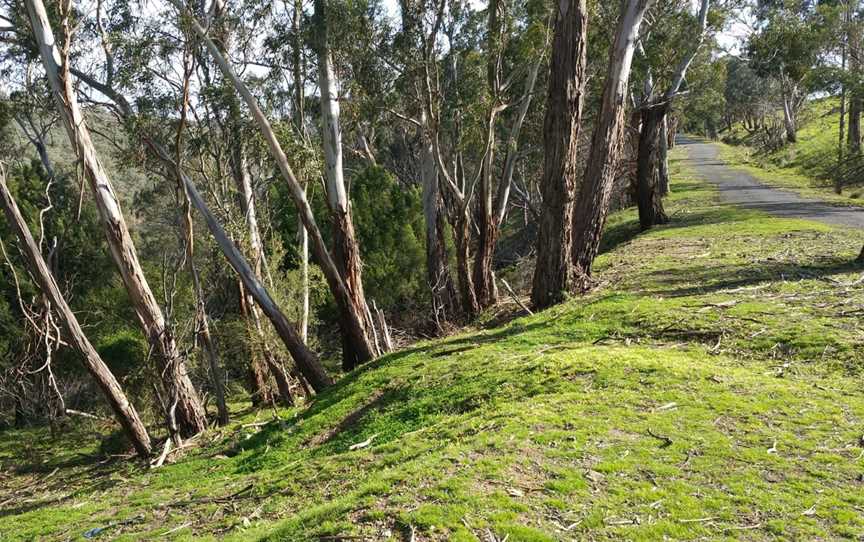Pretty Hill Reserve, Kangaroo Ground, VIC