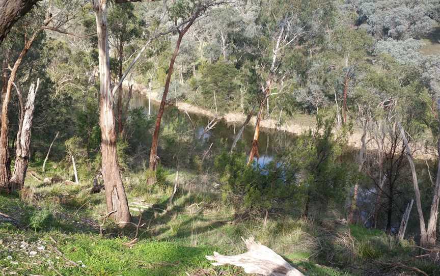 Pretty Hill Reserve, Kangaroo Ground, VIC
