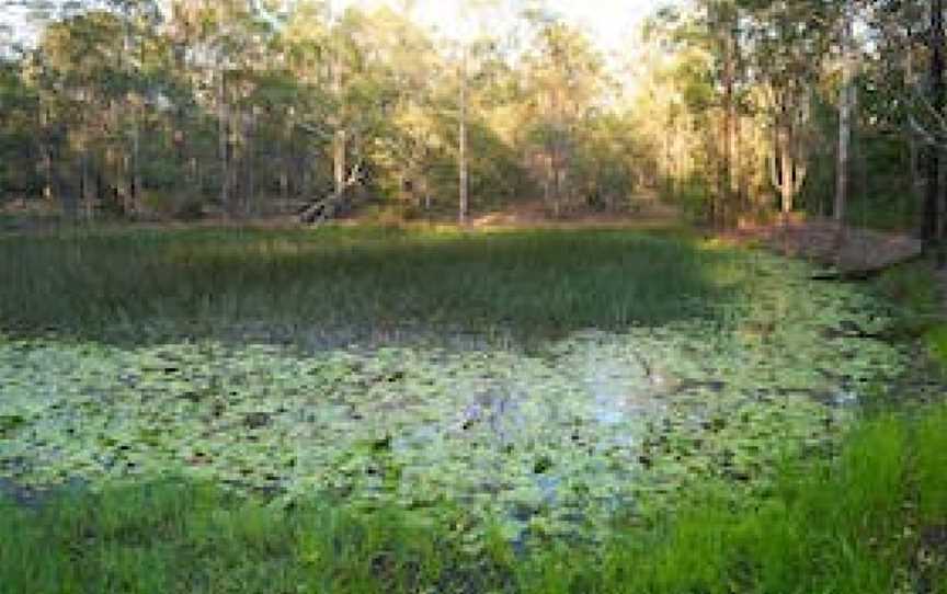 Raysource Road, Haigslea, QLD