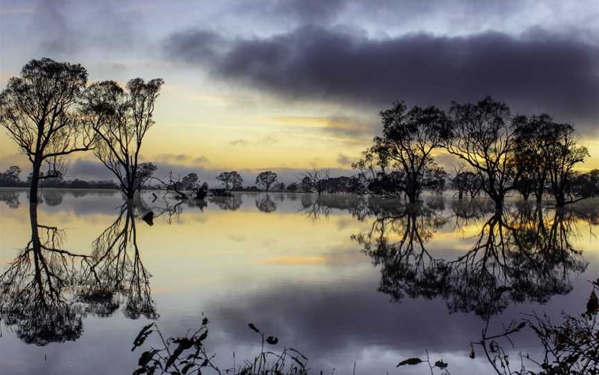 Sale Common State Game Refuge, Longford, VIC