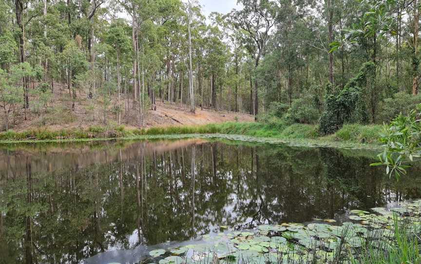 Samford Conservation Park and Bunyaville Conservation Park, Ferny Hills, QLD