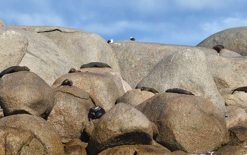 Seal Rock, Phillip Island, VIC