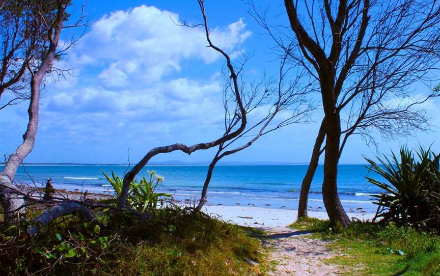 Shark Bay, The Freshwater, NSW