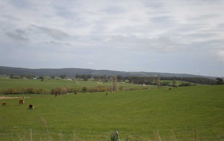 Stacey's Bridge, Nariel Valley, VIC