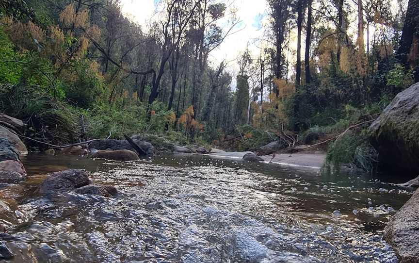 Starlights Trail, Wattle Ridge, NSW