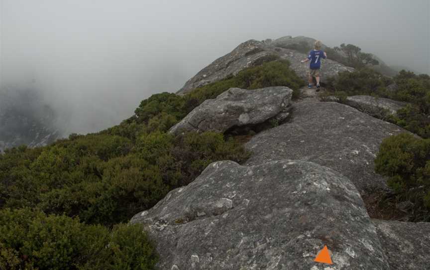 Strzelecki Peaks Great Short Walk, Strzelecki, TAS