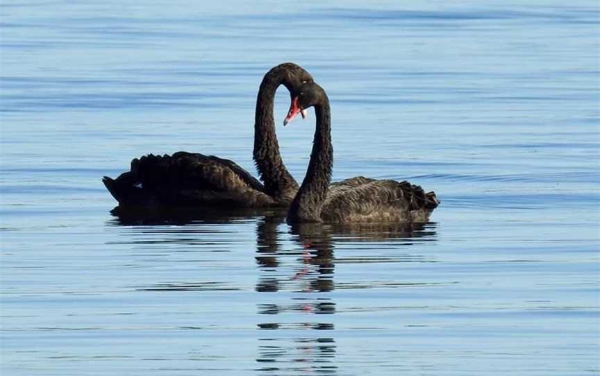 Swan River, Mosman Park, WA