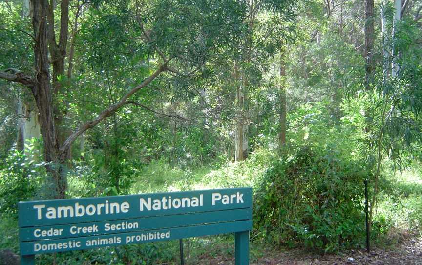 The Palm Grove Section of the Tamborine National Park, Tamborine Mountain, QLD