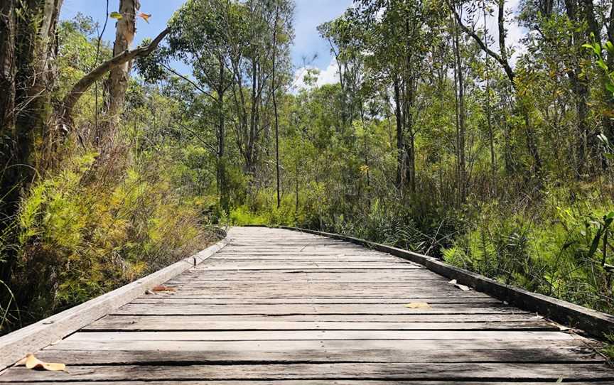 Tilligerry Habitat, Tanilba Bay, NSW