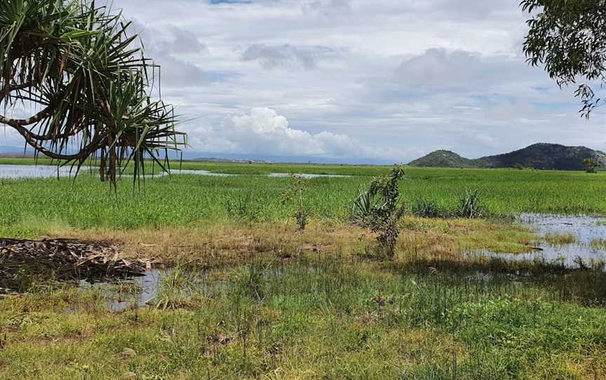 Townsville Town Common Conservation Park, Town Common, QLD