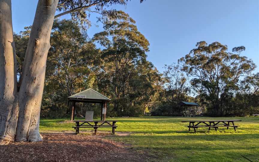 Tunks Hill picnic area, Macquarie Park, NSW
