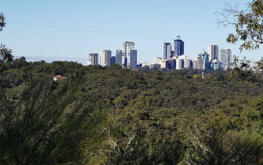 Tunks Hill picnic area, Macquarie Park, NSW