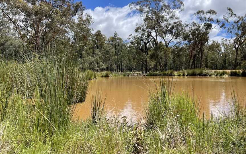 Two Dams picnic area, Dubbo, NSW