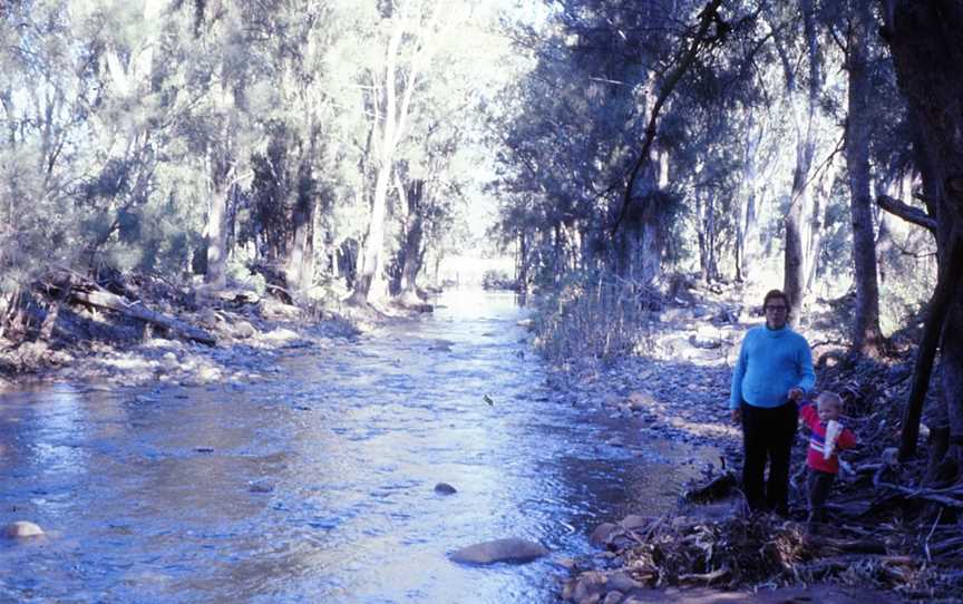 Upper Bullawa Creek picnic area, Kaputar, NSW