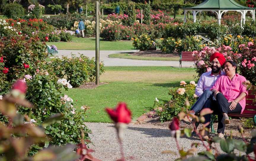 Victoria State Rose Garden at Werribee Park, Werribee South, VIC