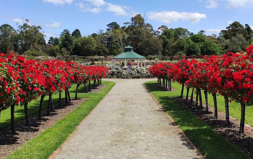 Victoria State Rose Garden at Werribee Park, Werribee South, VIC