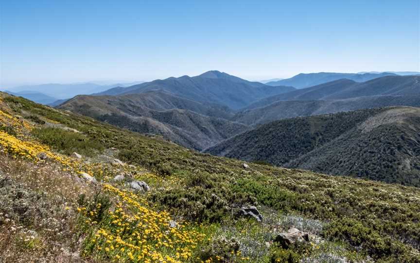 Walking and Hiking At Mt Hotham, Harrietville, VIC