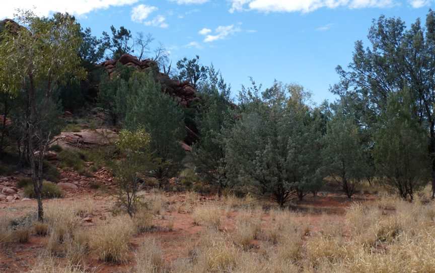 Wallaby Gap, Hugh, NT