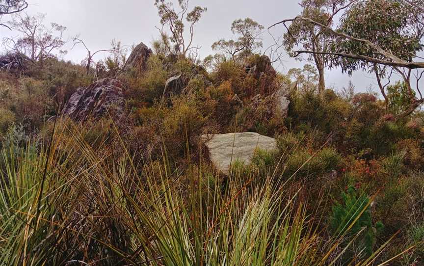 Warren Conservation Park, Williamstown, SA