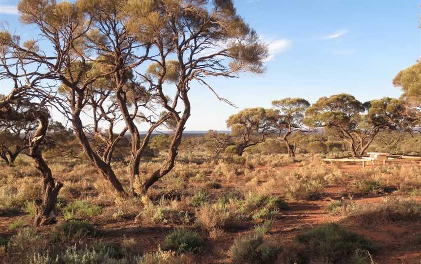 Whyalla Conservation Park, Whyalla Barson, SA