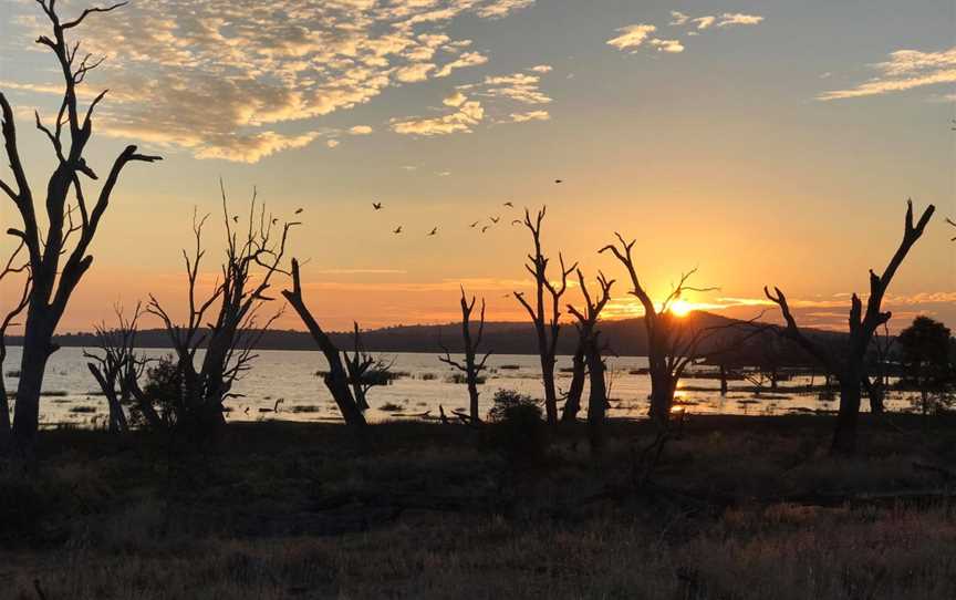 Winton Wetlands, Chesney Vale, VIC