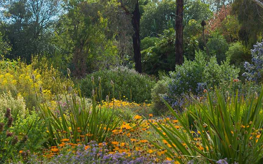 Wittunga Botanic Garden, Blackwood, SA
