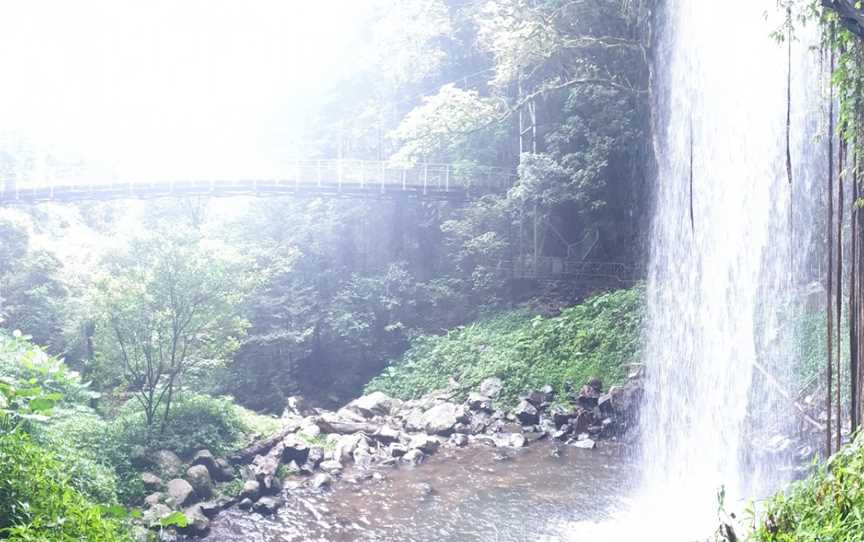 Wonga Walk, Dorrigo Mountain, NSW