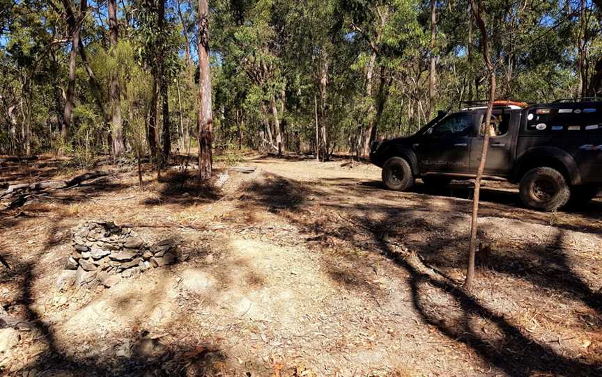Wongi State forest (not national park), Golden Fleece, QLD