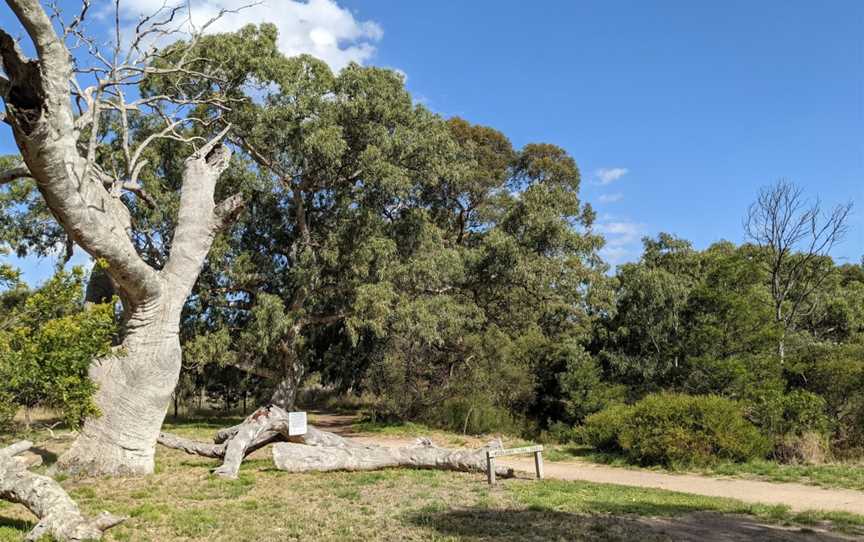 Woodlands Historic Park, Greenvale, VIC