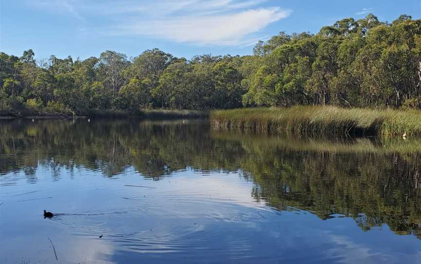 Woorabinda Lake & Bushland Reserves, Stirling, SA