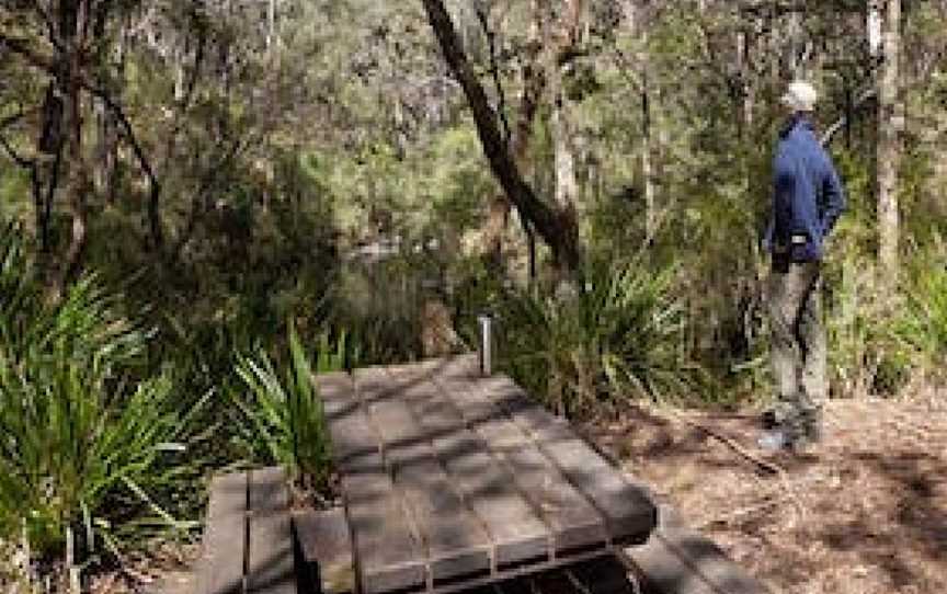 Dasyurus picnic area, Monga, NSW